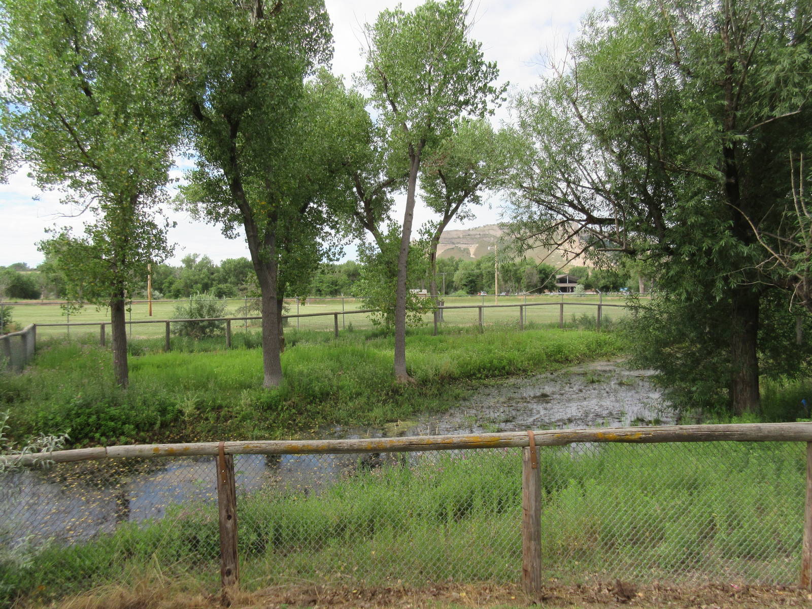 Waterbuck Exhibit (currently empty?)