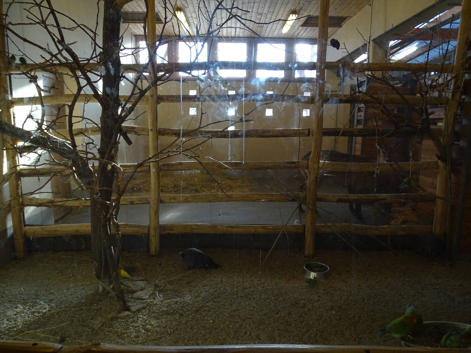 Waterbuck stables and birds