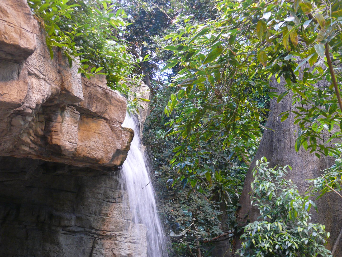 Waterfall - 03-09-2020