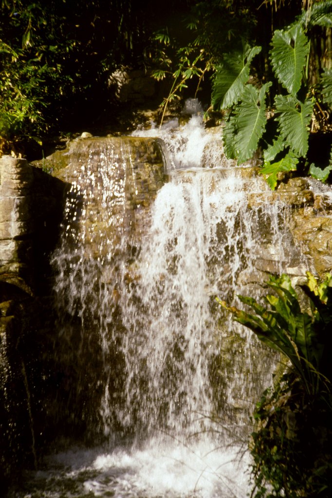Waterfall - 1981