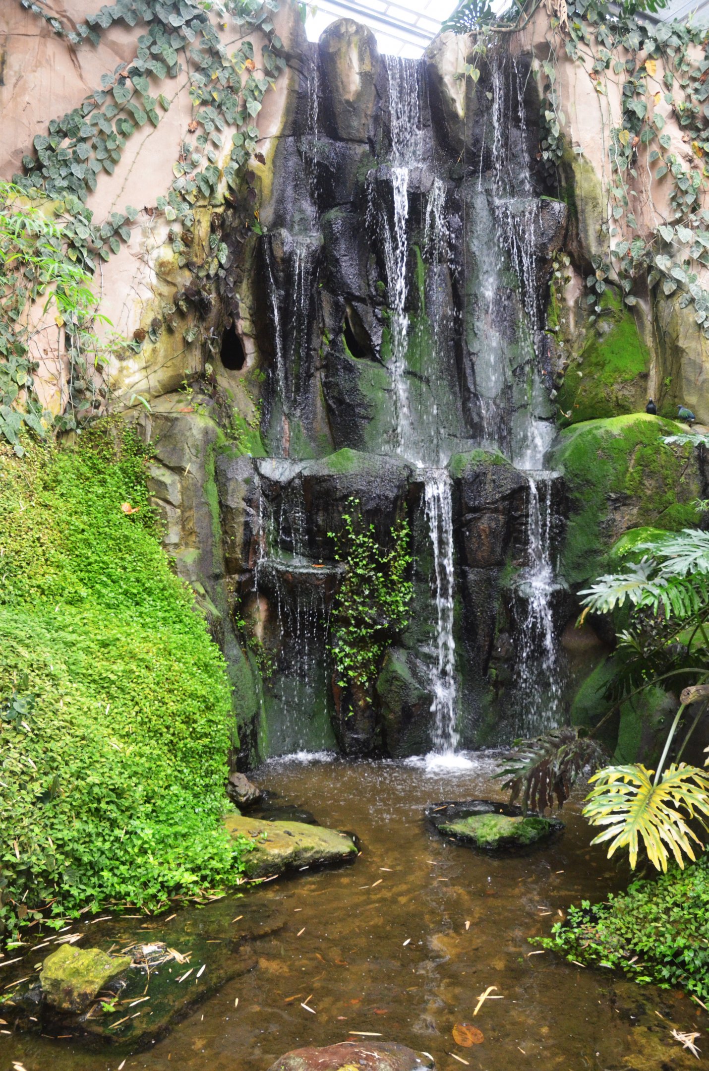 Waterfall/Alligator Snapping Turtle Enclosure at Biotropica, 16/06/18