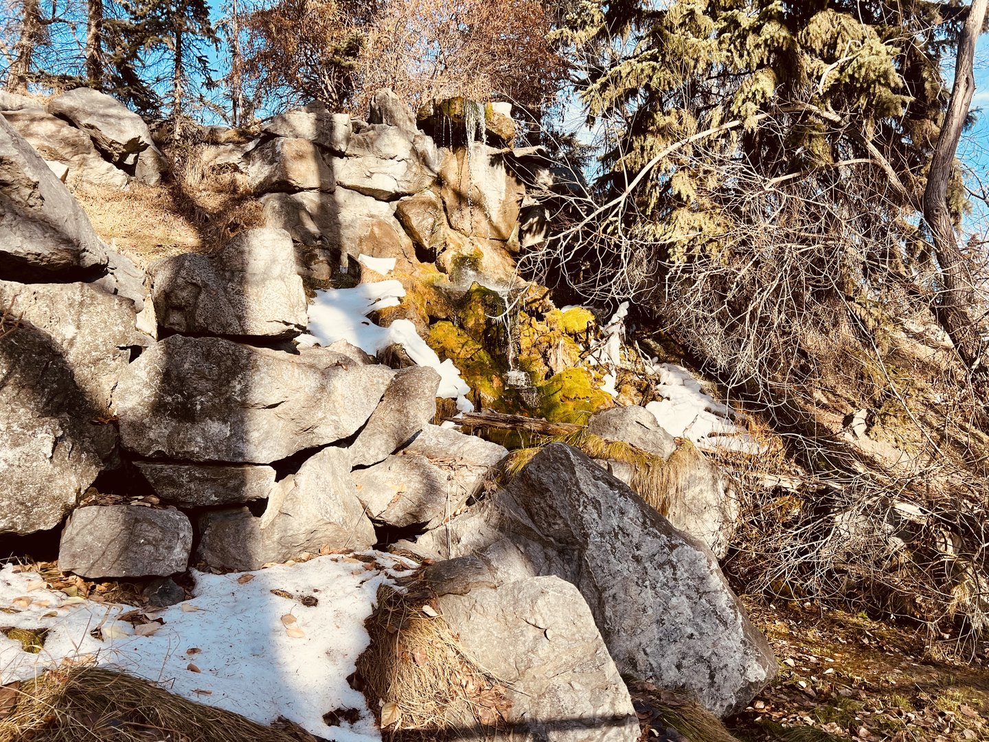 Waterfall.  Although half of it was closed…The Canadian Wilds collections of exhibits were nicely done