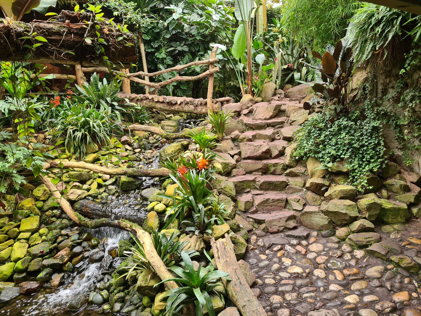 Waterfall and adventure path in "Amazon" hall