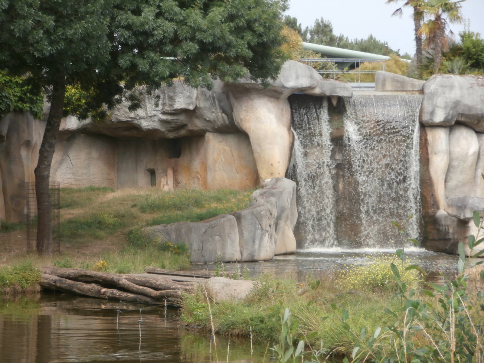 Waterfall and first chimpanzee island