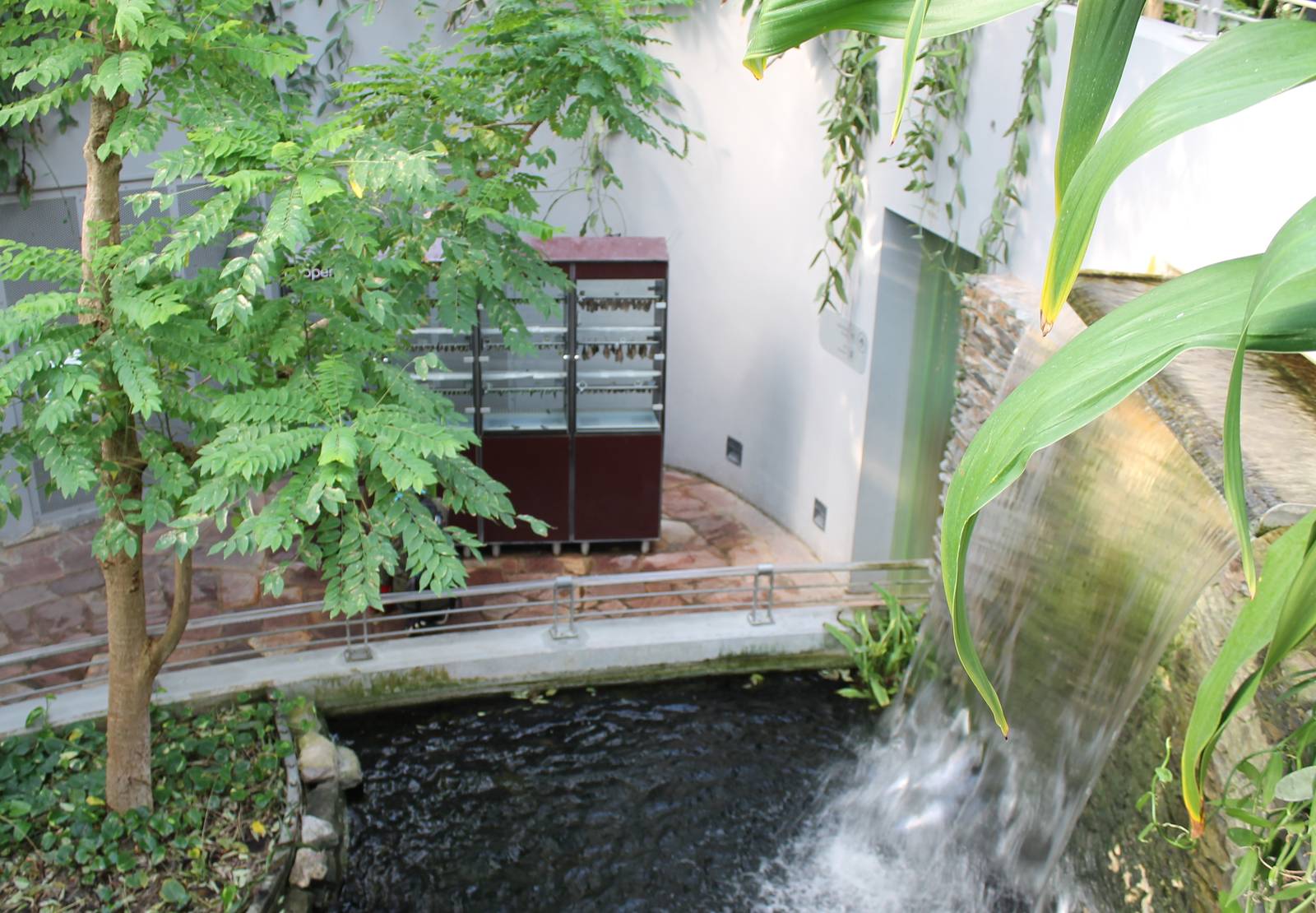 Waterfall and hatching box