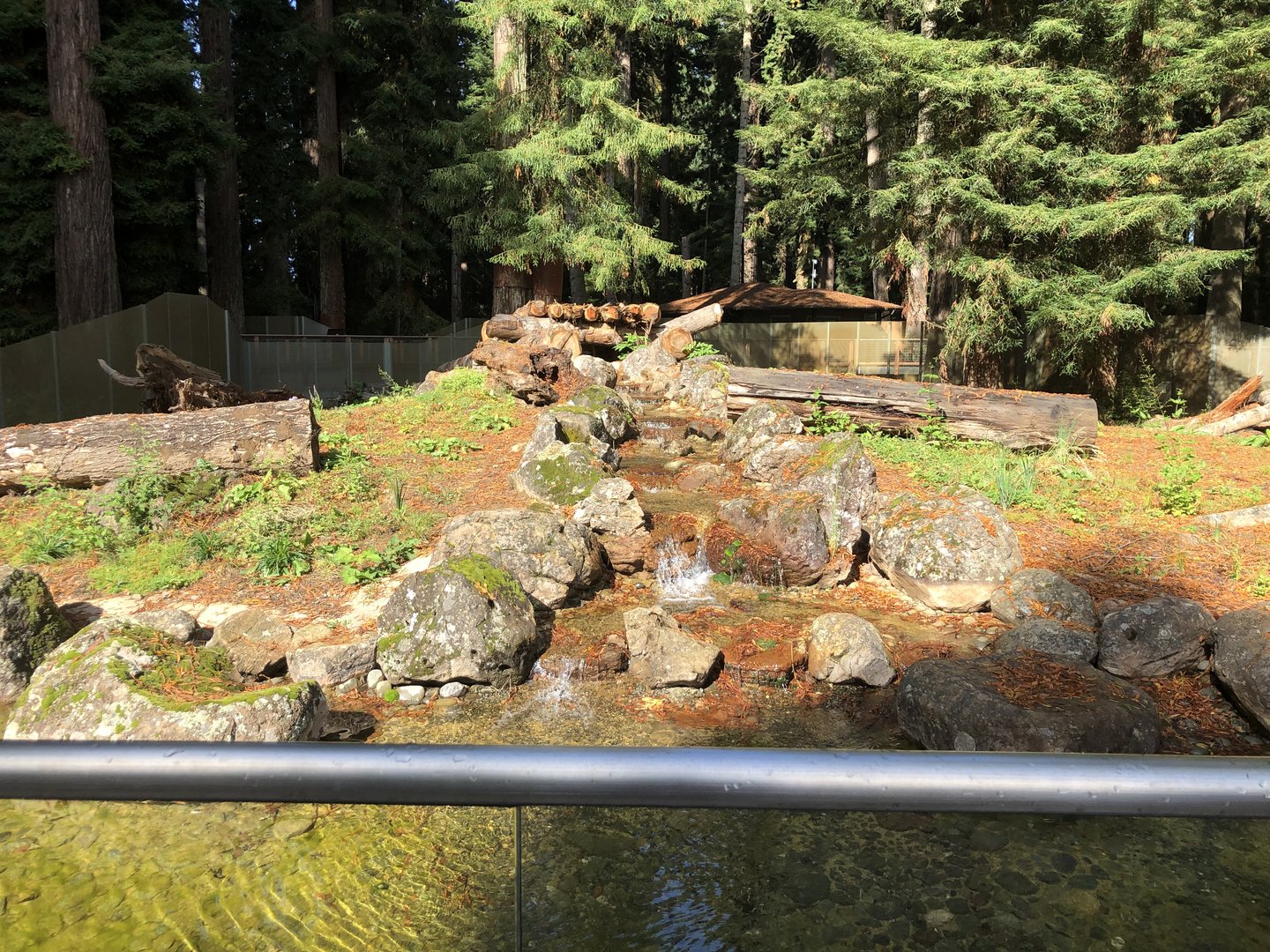 Waterfall and pond in main black bear exhibit