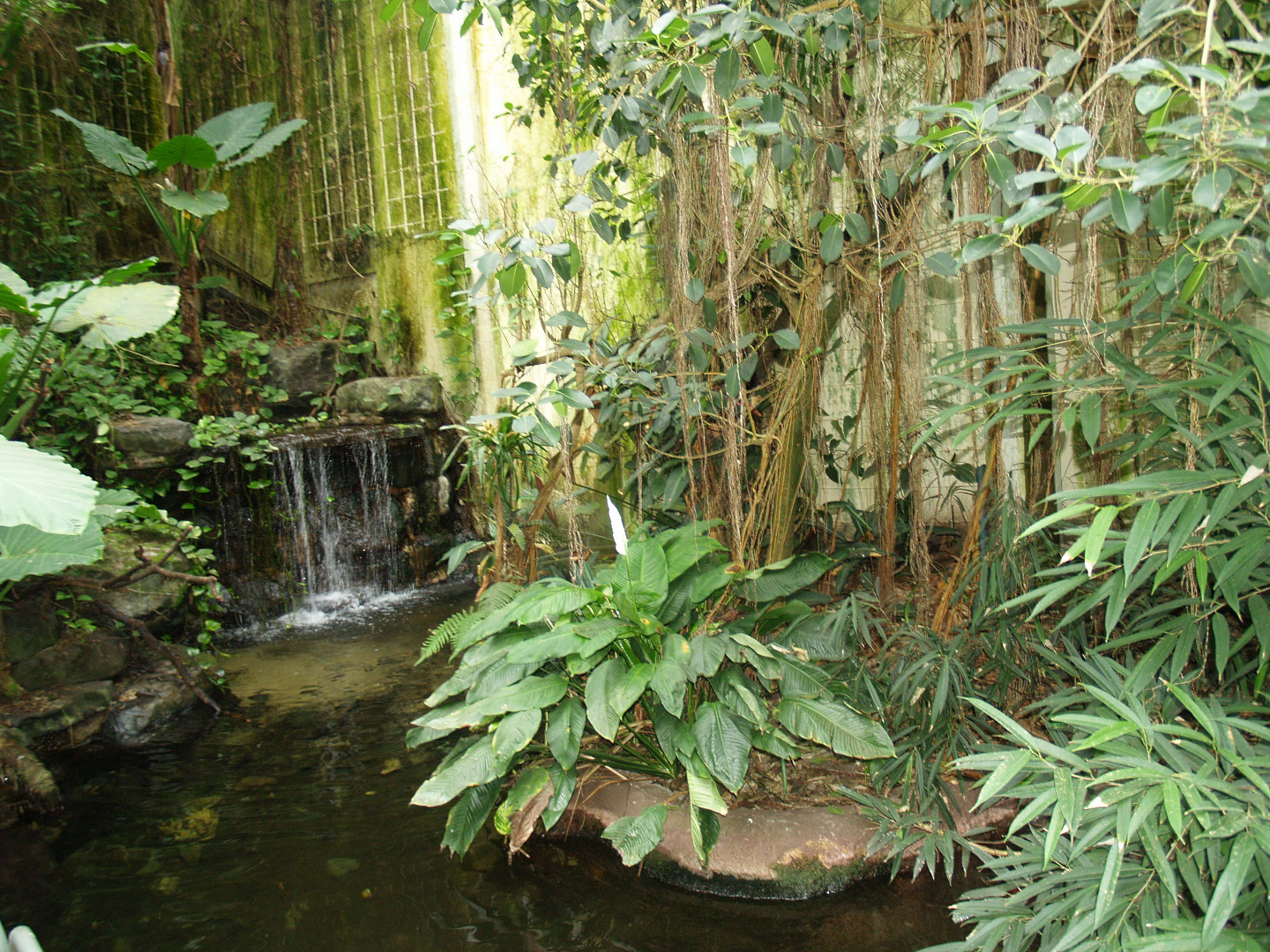 Waterfall and pond in the Americasa, 2008-03-01