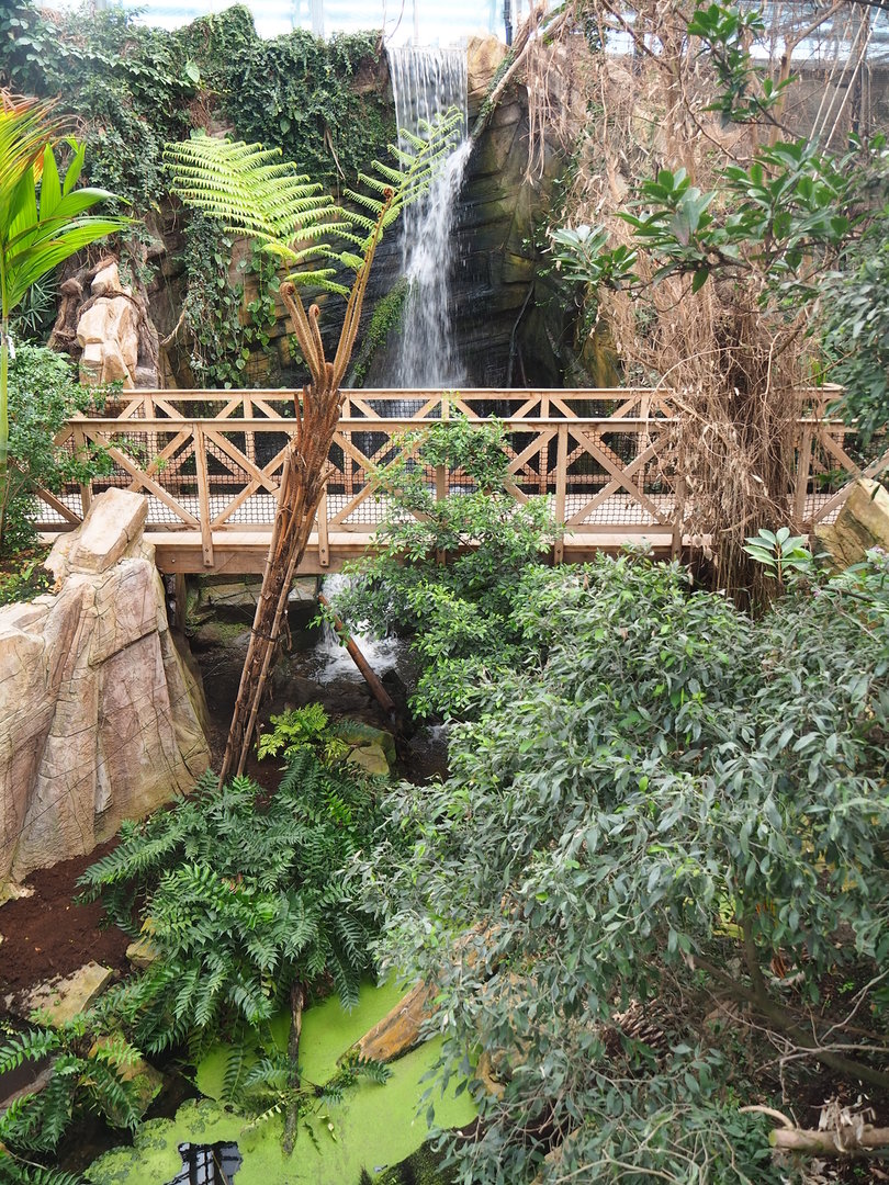 Waterfall and walkway in the orangutan greenhouse, 2022-07-16