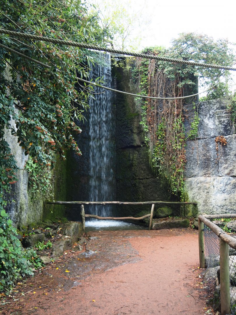 Waterfall and walkway on the lemur island, 2019-10-04