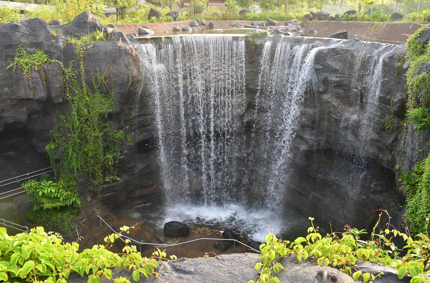 Waterfall at Mandai Wildlife West