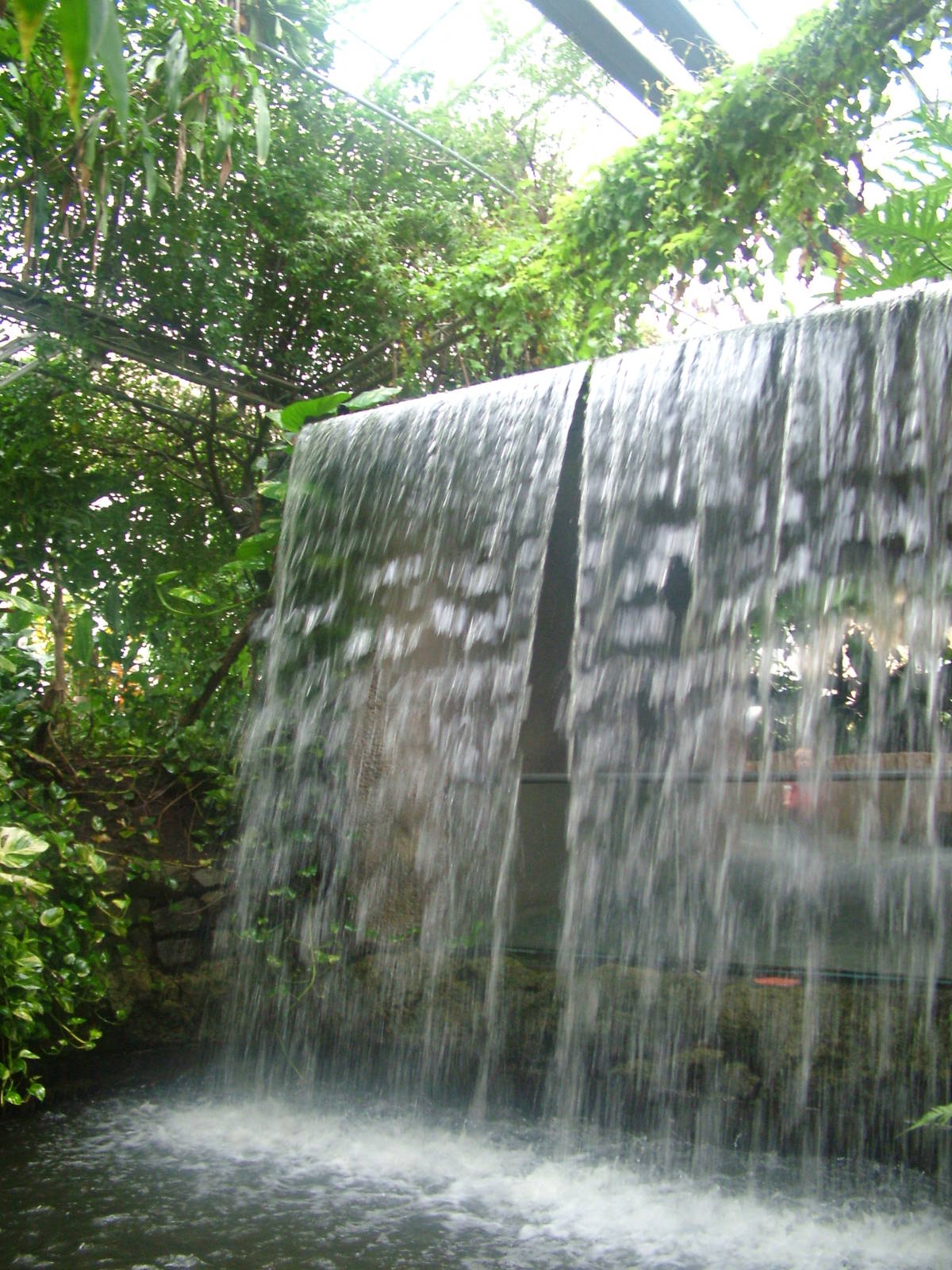 Waterfall at Tropical World 01/08/09