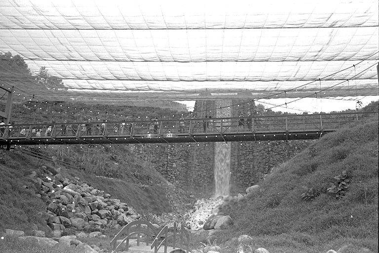 Waterfall Aviary, 1971