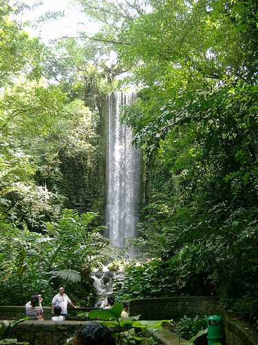 Waterfall Aviary at Jurong BirdPark