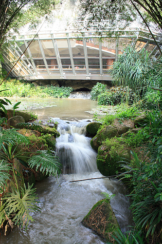 Waterfall Aviary exterior, Jurong BirdPark