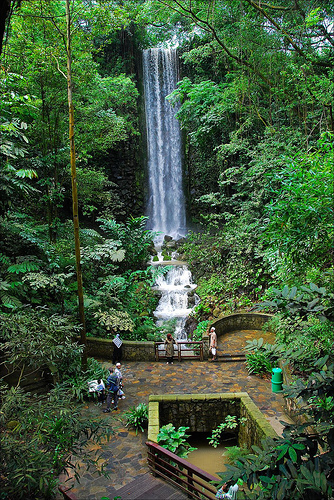 Waterfall Aviary, Jurong BirdPark