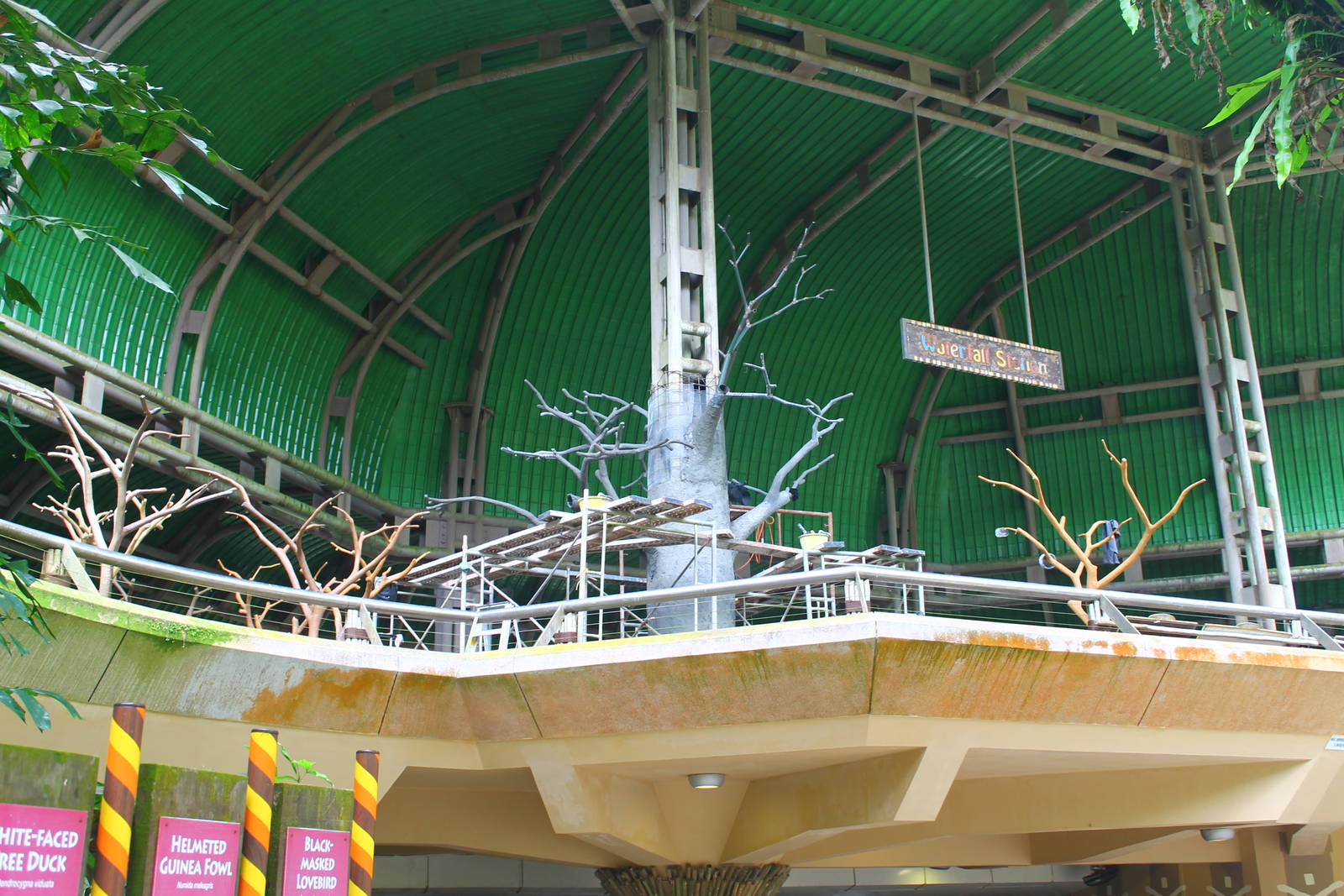 Waterfall Aviary theming works