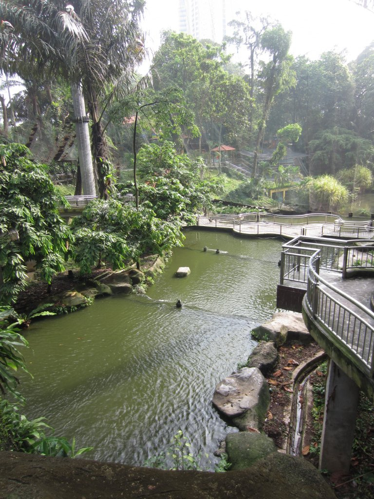 Waterfall Aviary