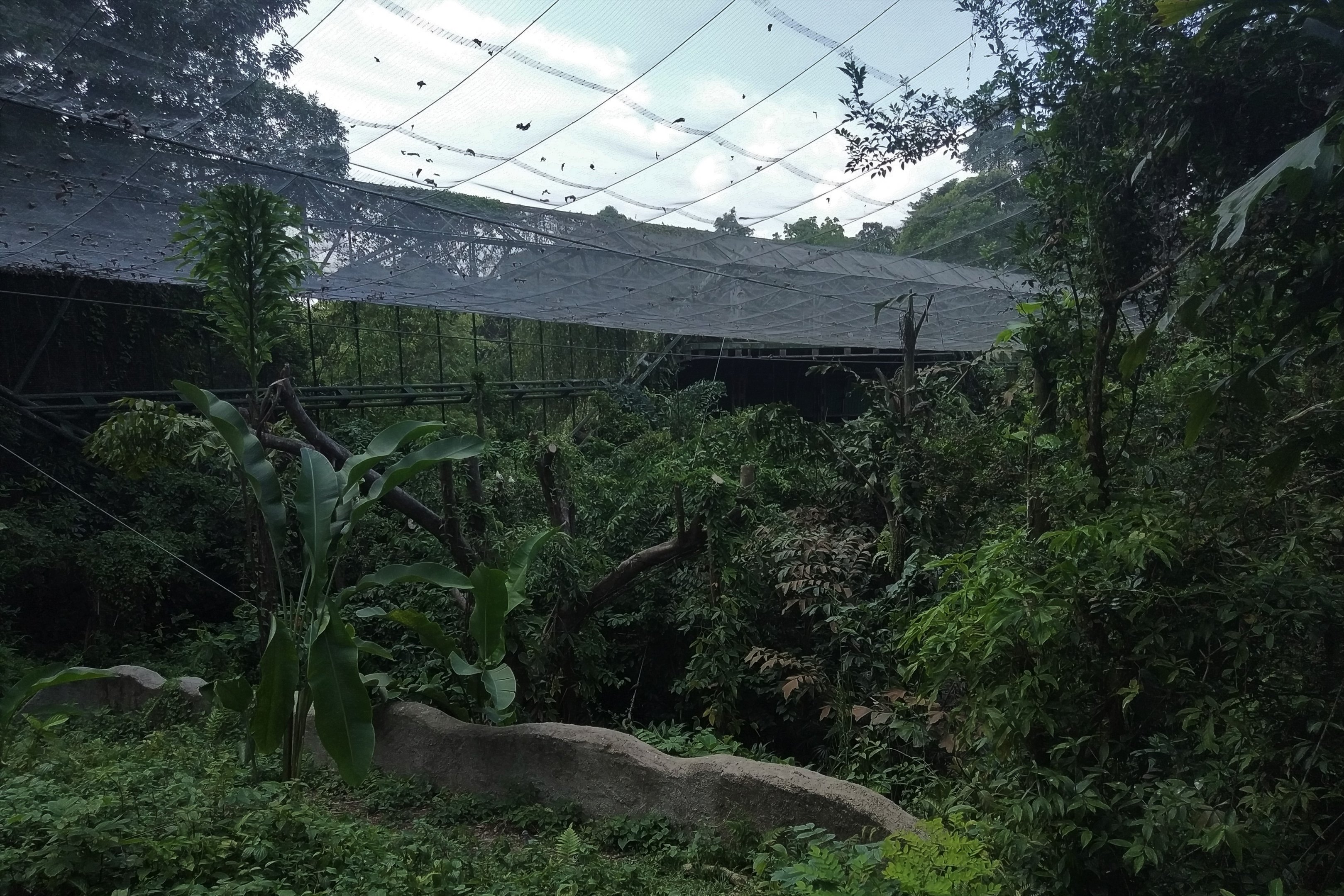 Waterfall Aviary