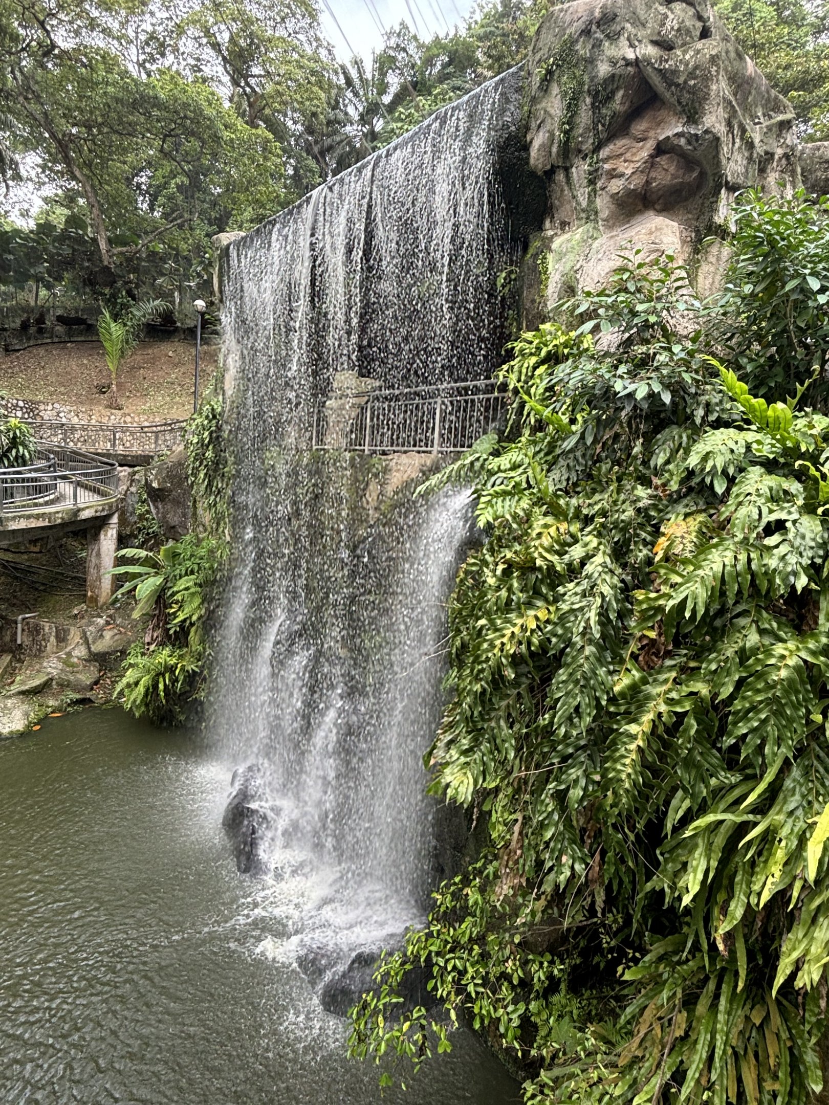 Waterfall Aviary