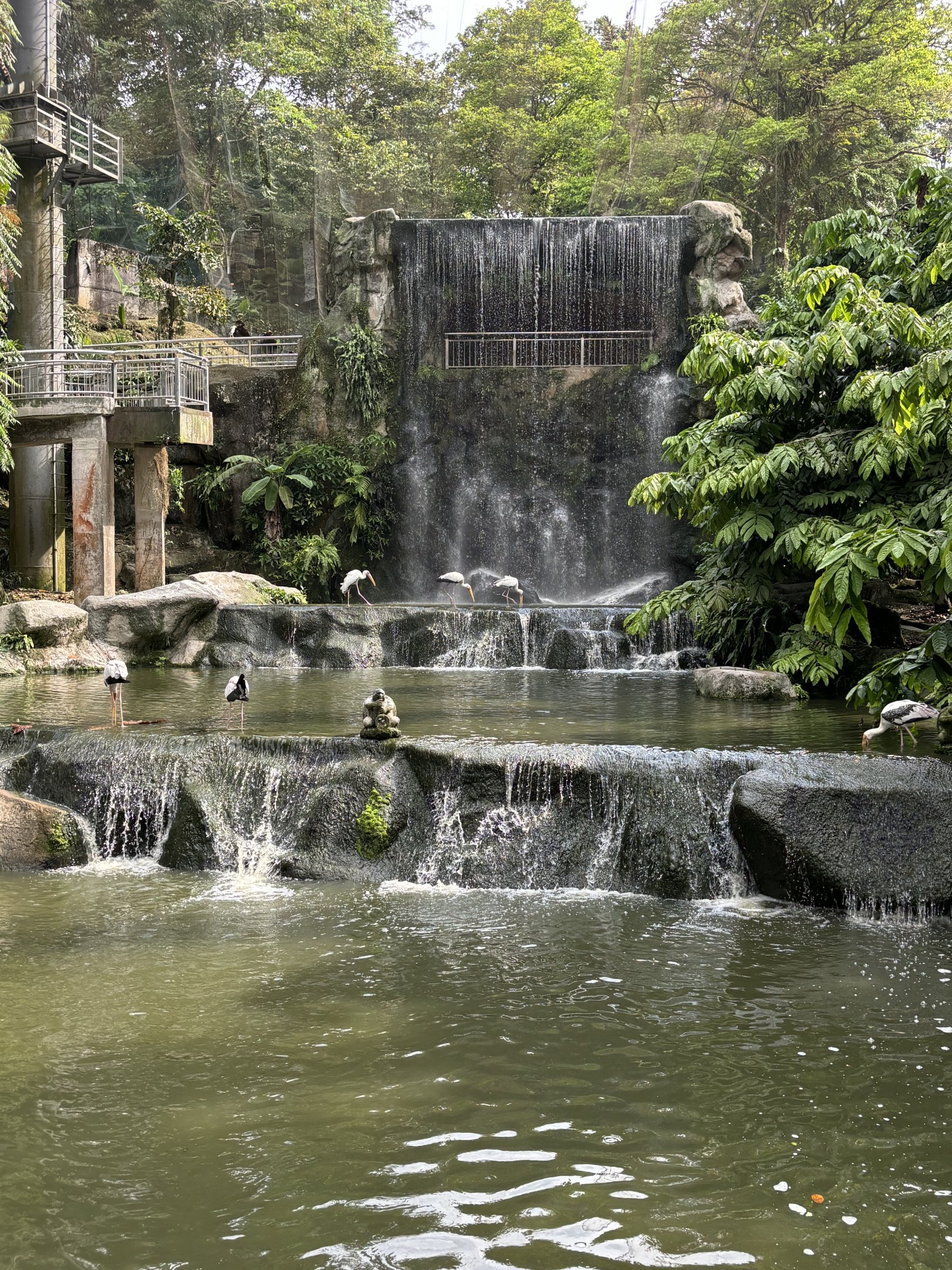 Waterfall Aviary