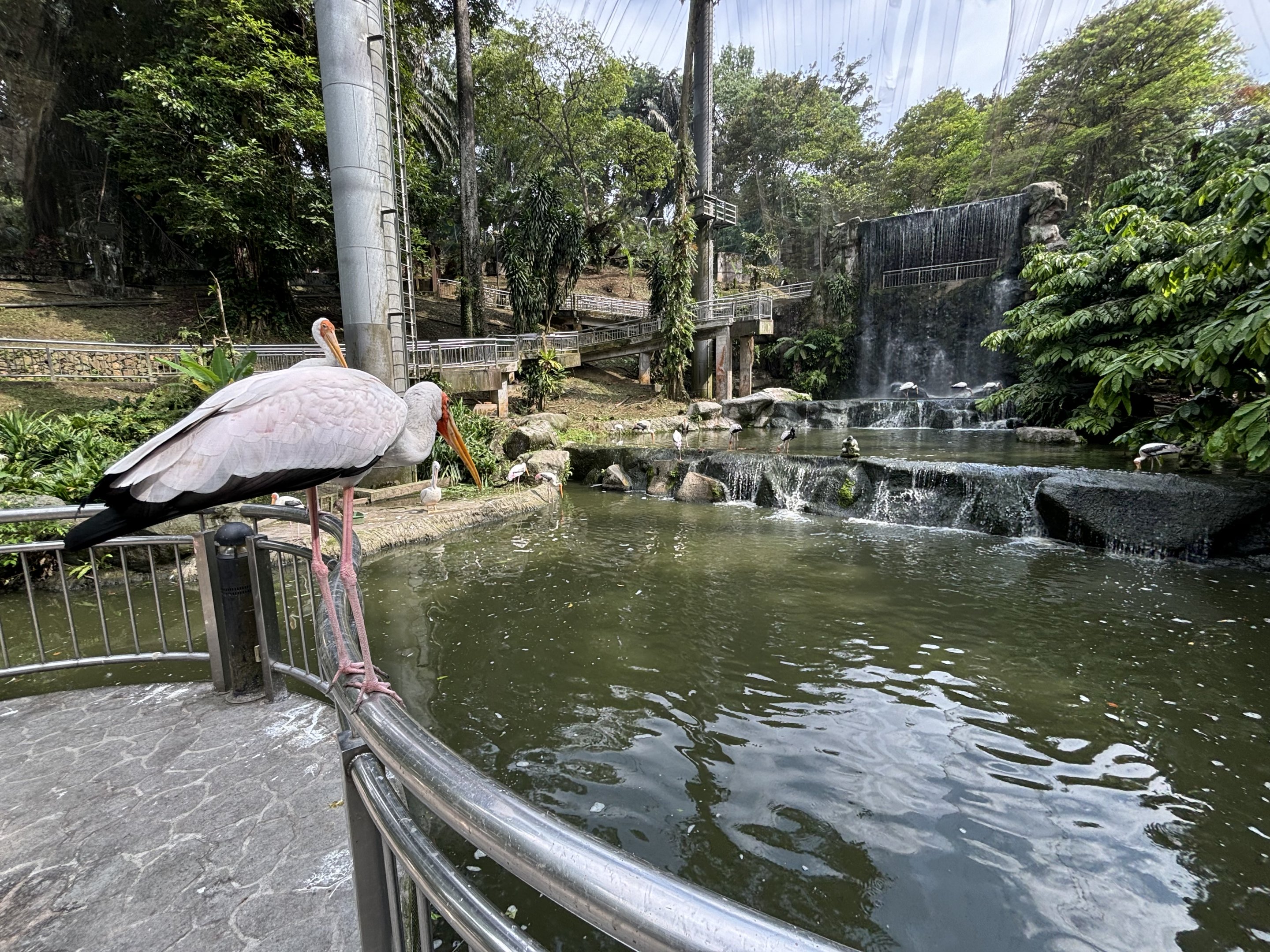 Waterfall Aviary