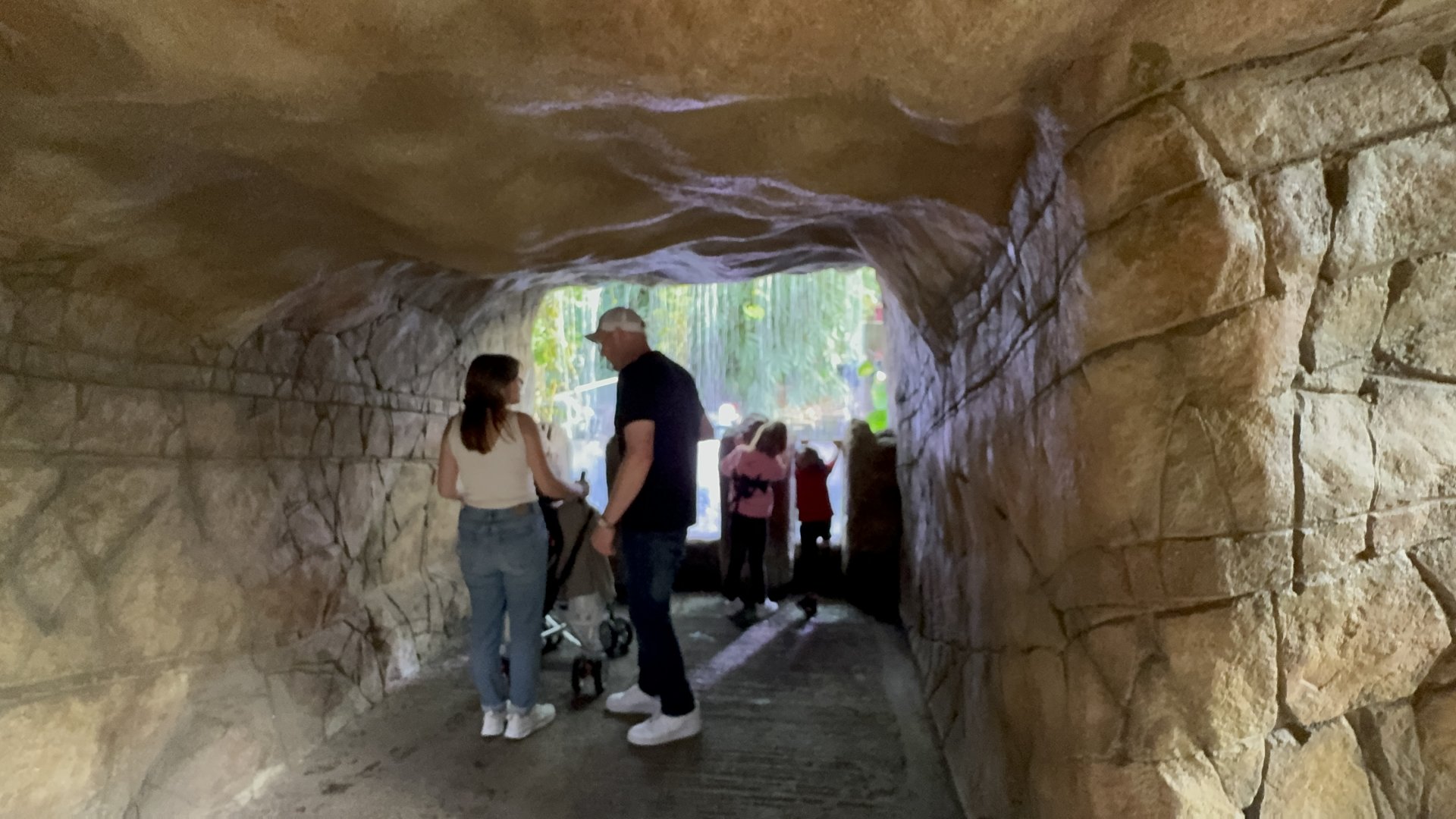 Waterfall Balcony at Tropical World (October 2024)