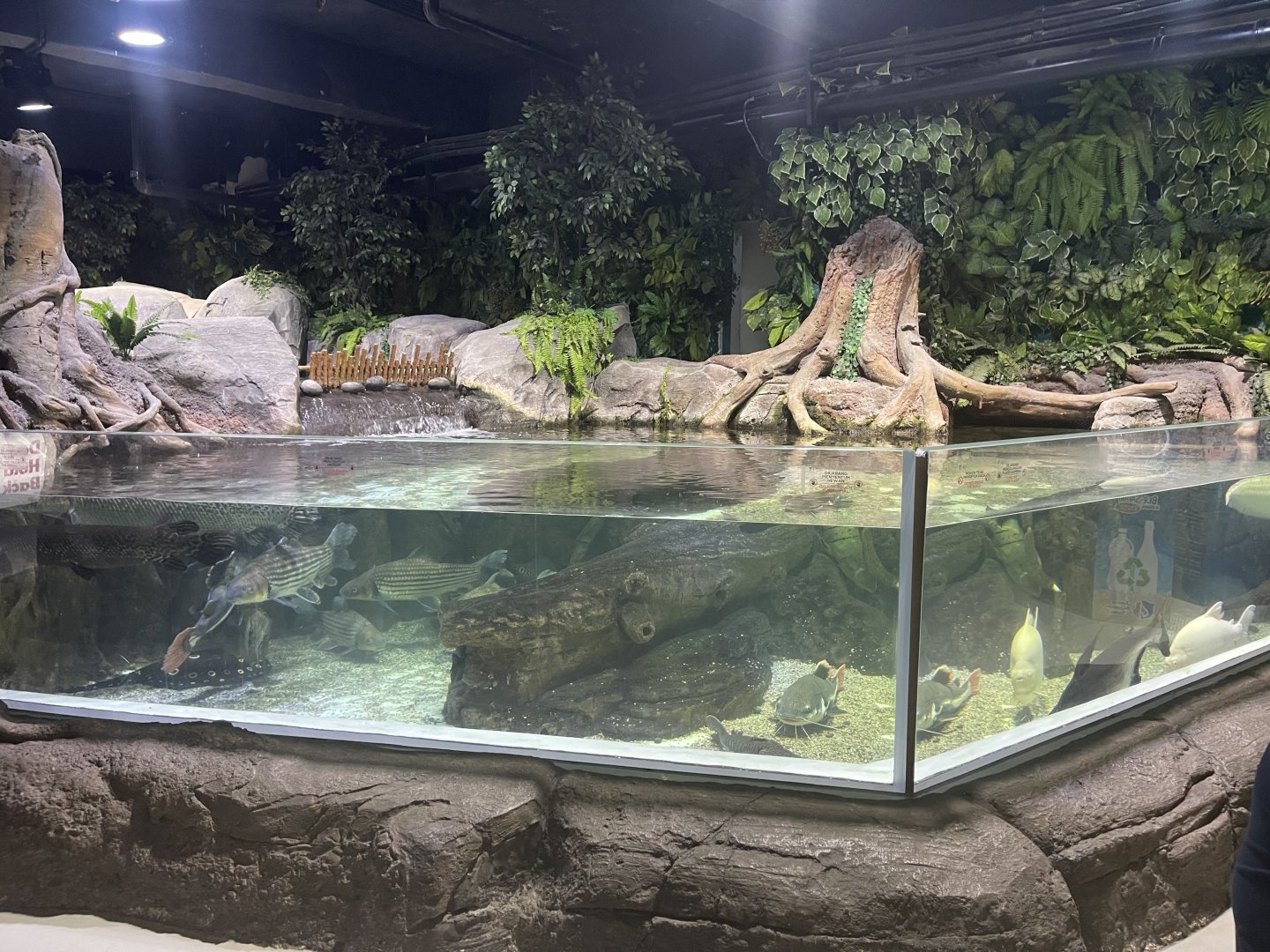 waterfall basin tank