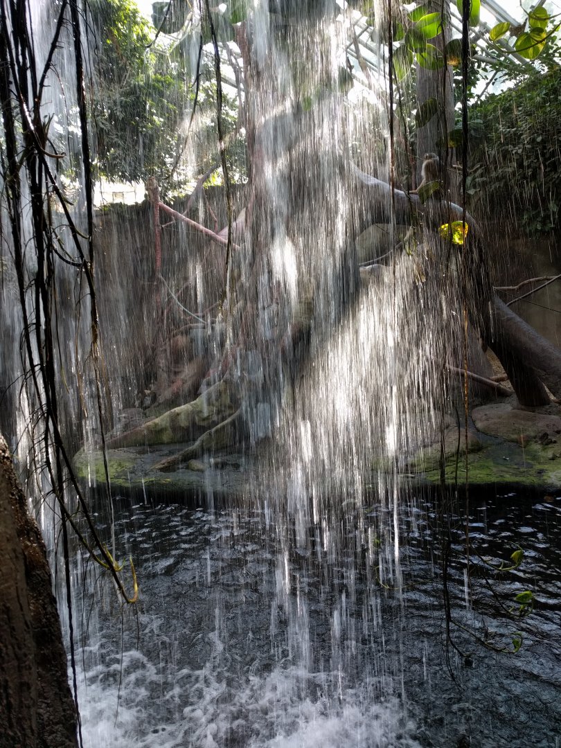 Waterfall behind Pig Tailed Maqaque Island