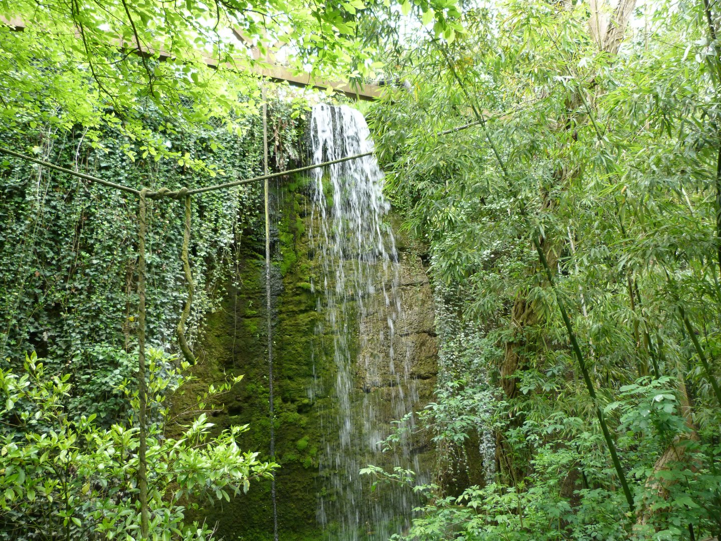 Waterfall -Bioparc de Doué la Fontaine (2025)