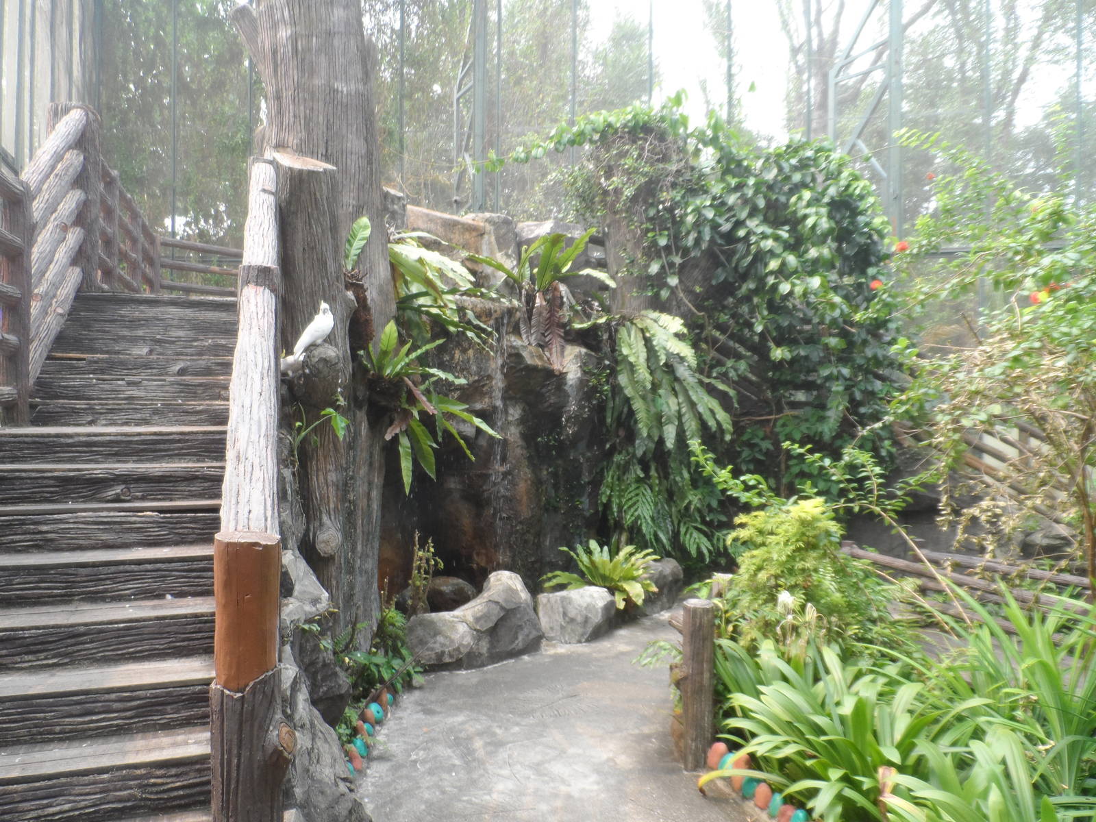 Waterfall, Butterfly Walk-through