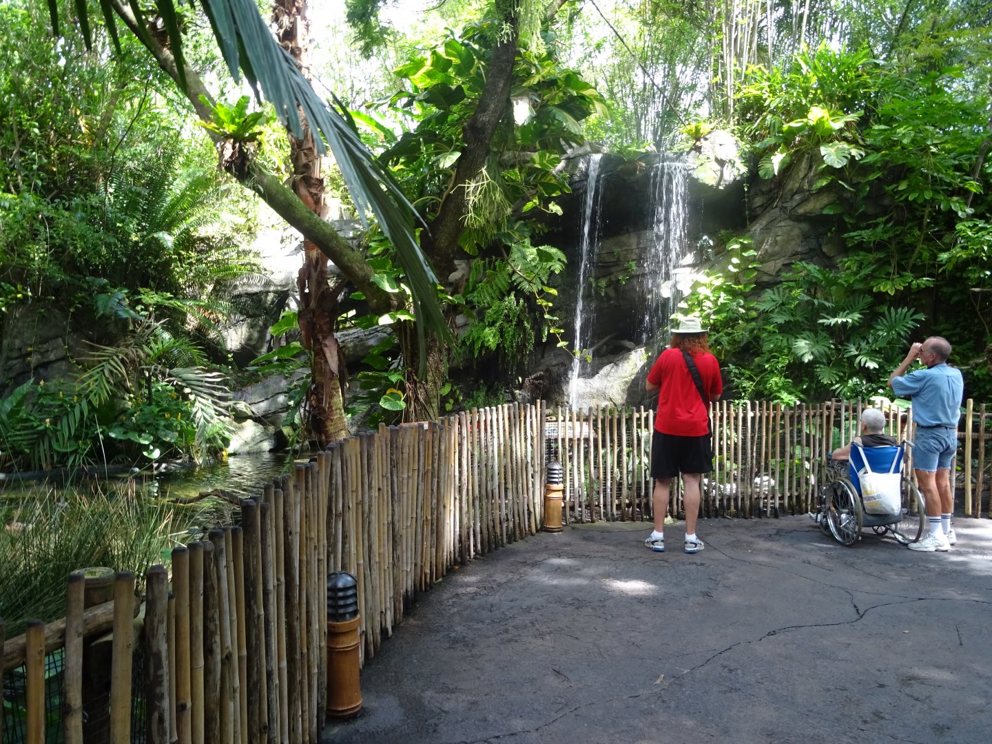 Waterfall Enclosure at Disney's Animal Kingdom (2014)