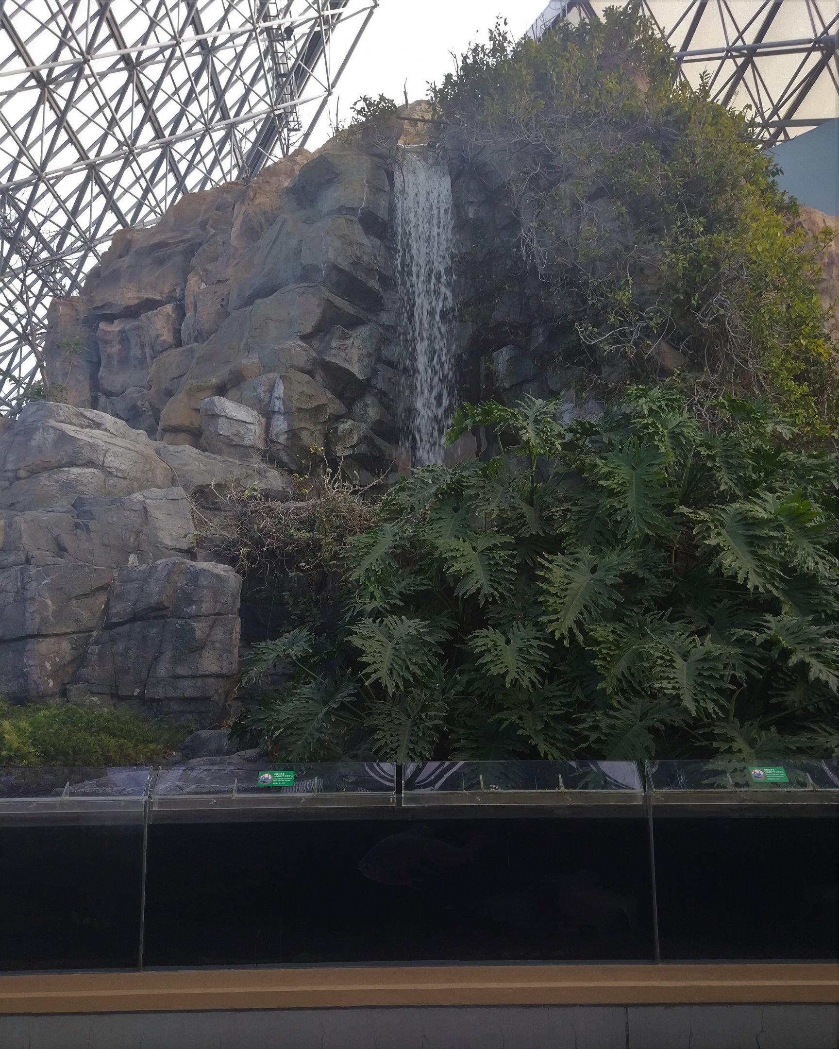 Waterfall Exhibit