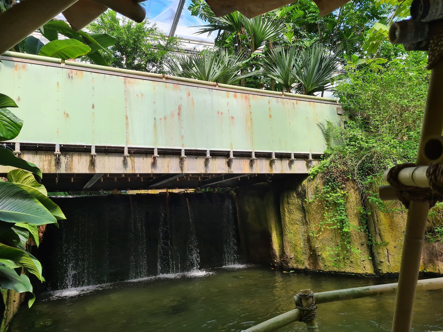 Waterfall from Rimbula river boat ride