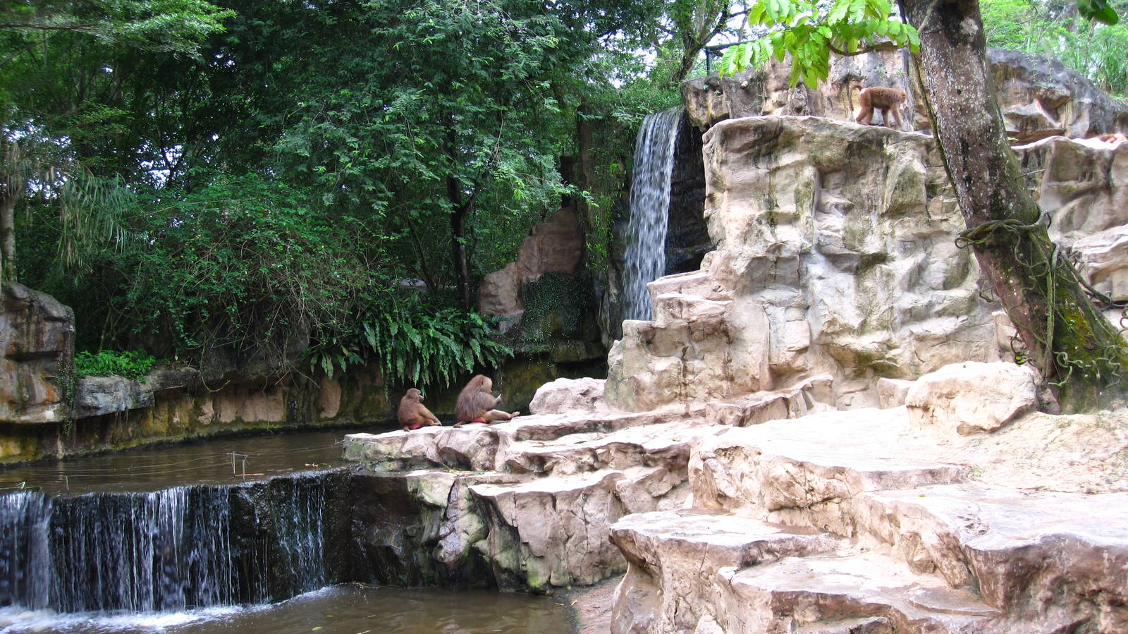 Waterfall, Great Rift Valley of Ethiopia - Singapore Zoo