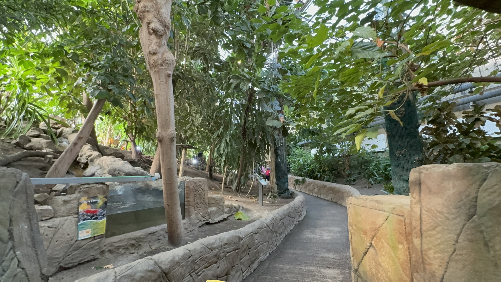 Waterfall House at Tropical World (October 2024)