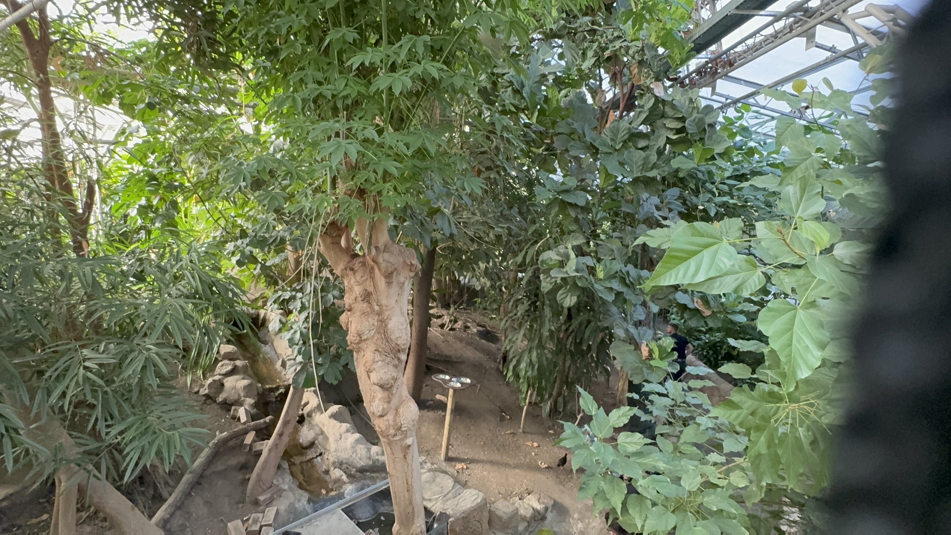 Waterfall House at Tropical World (October 2024)