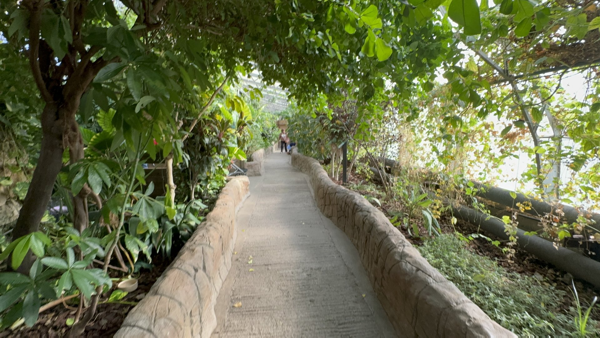 Waterfall House - Upper Level at Tropical World (October 2024)