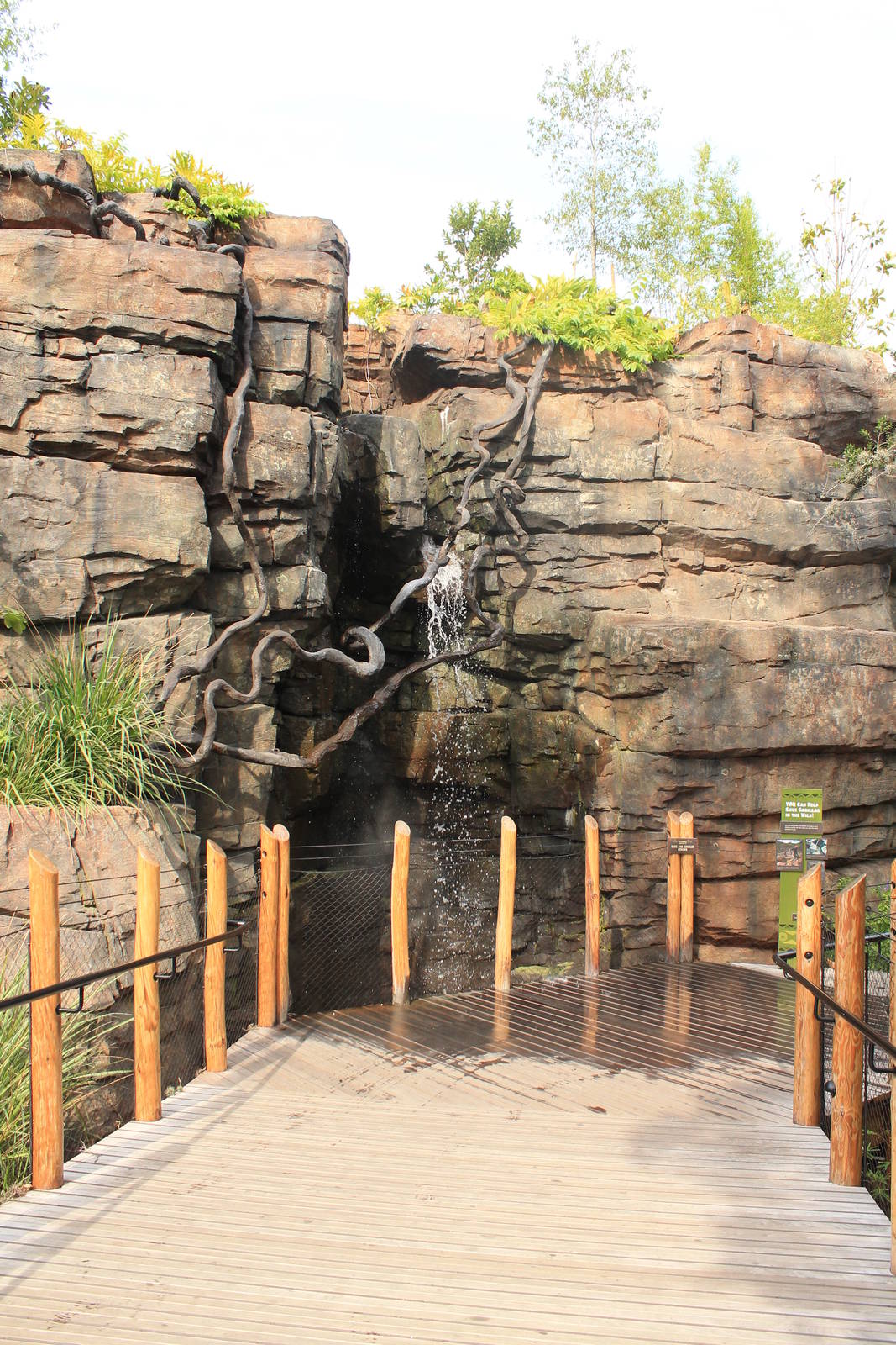 Waterfall in African Forest