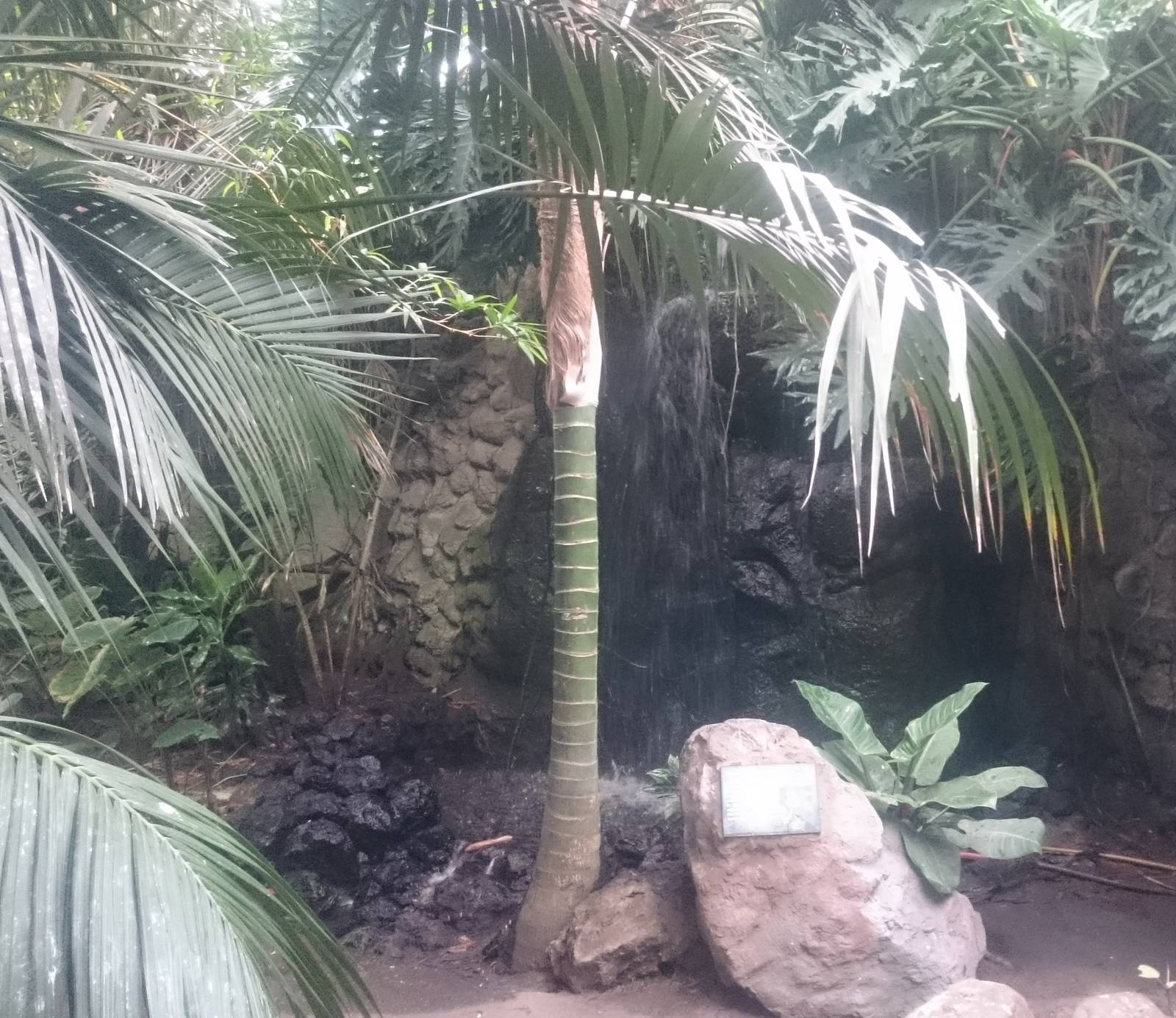 Waterfall in Asian tropical hall