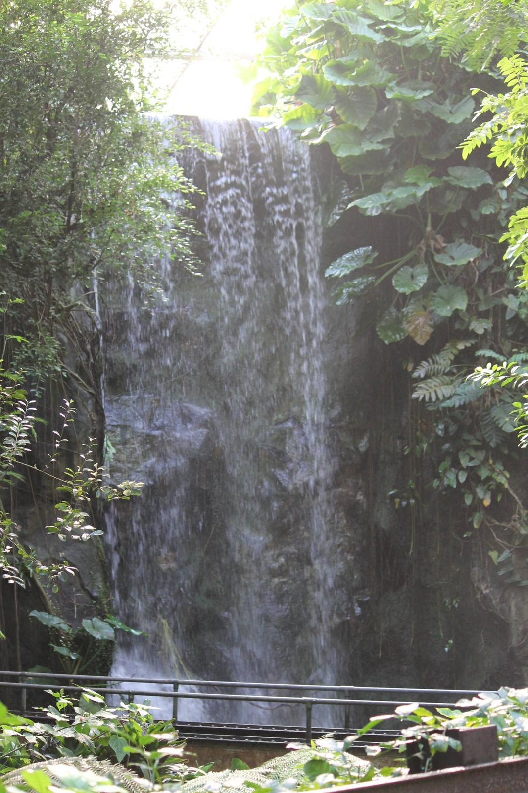 Waterfall in Burgers' Bush