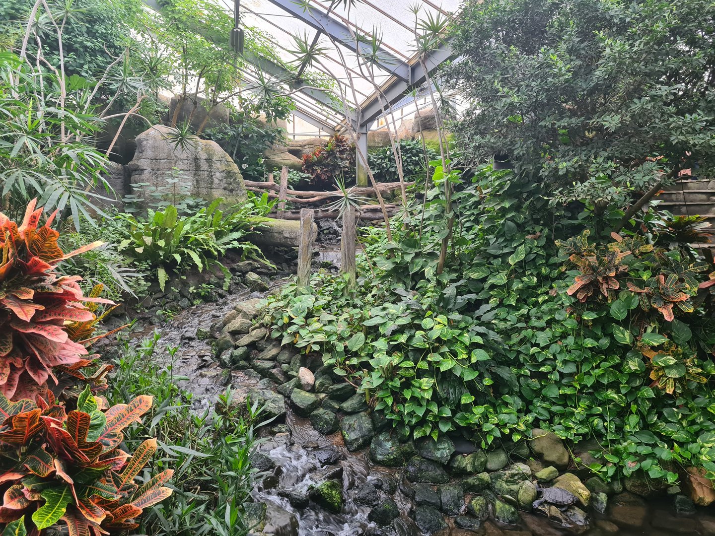 Waterfall in Butterfly valley