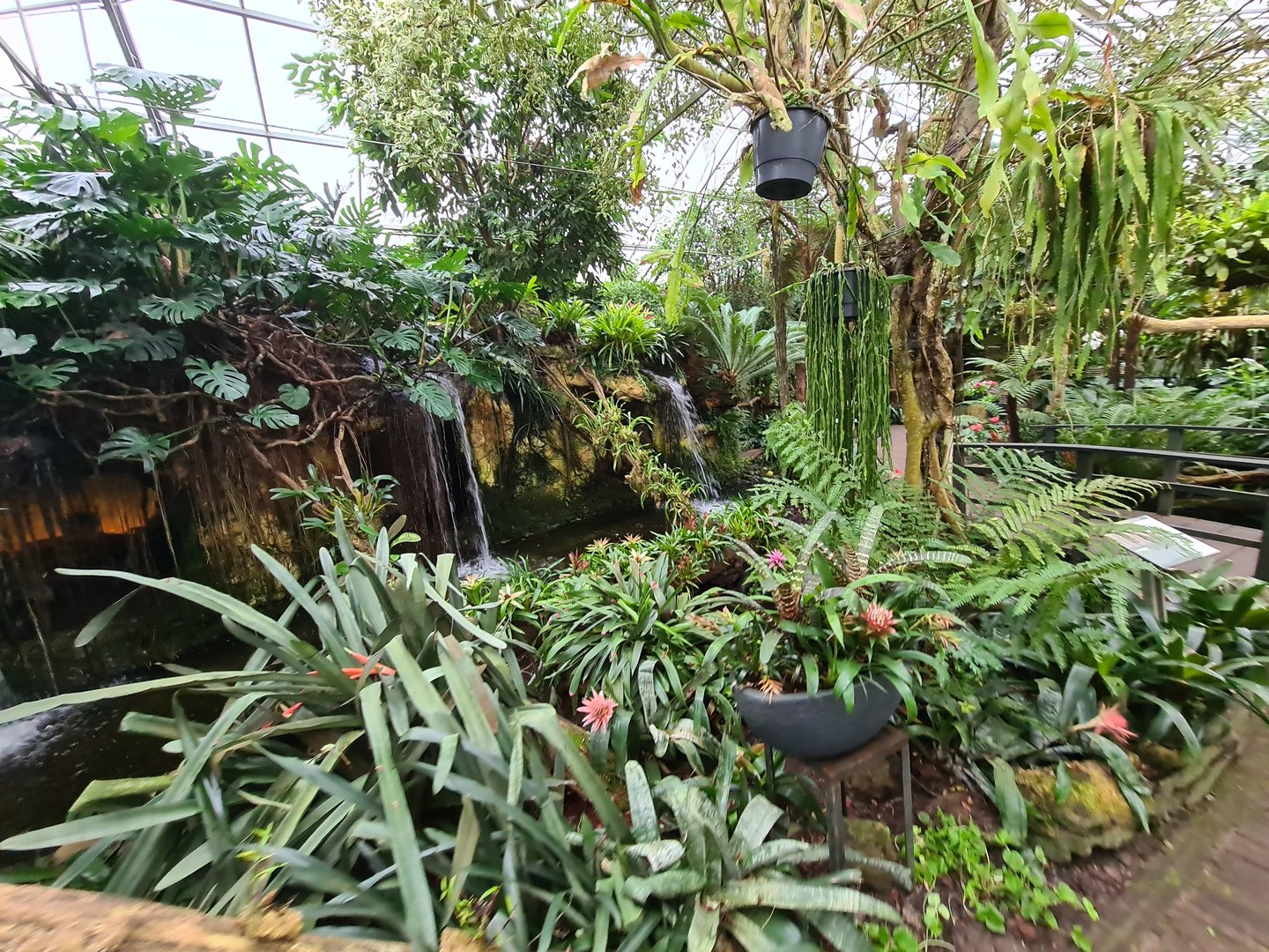 Waterfall in Orchid garden hall