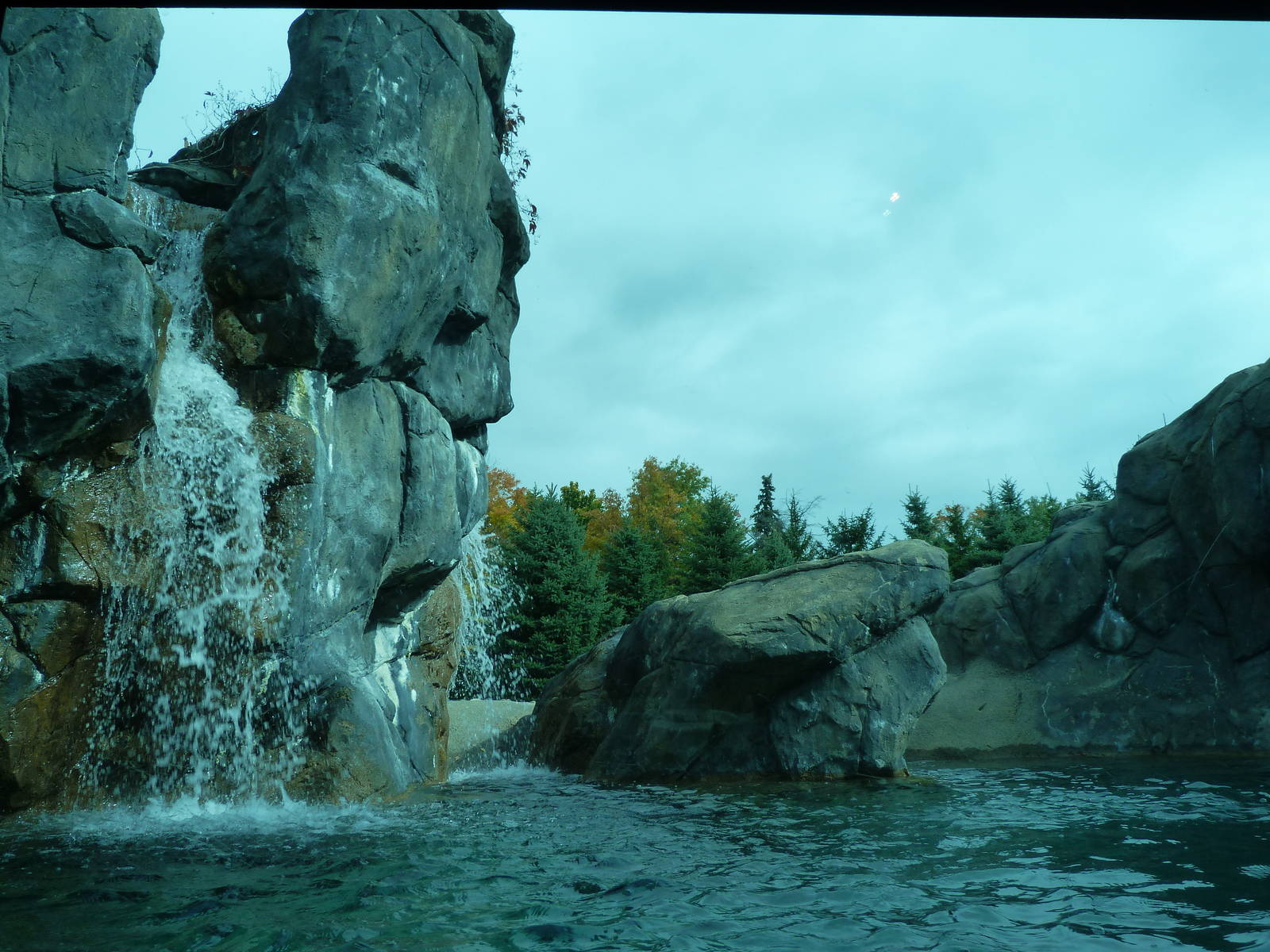 Waterfall in Polar Bear Exhibit