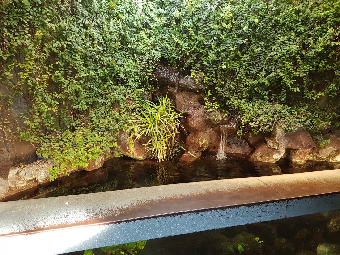 Waterfall in the aquarium