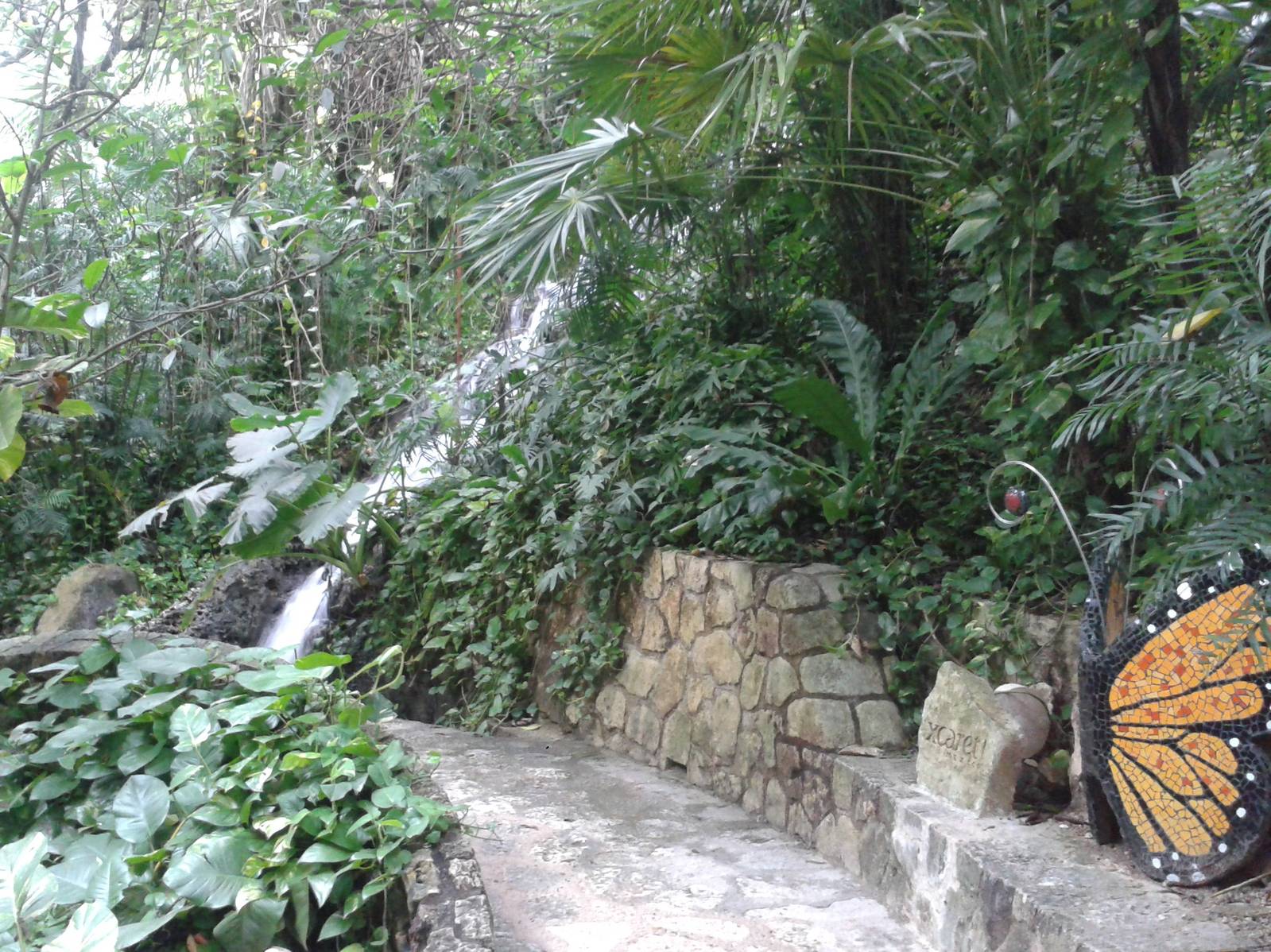Waterfall in the butterfly hall