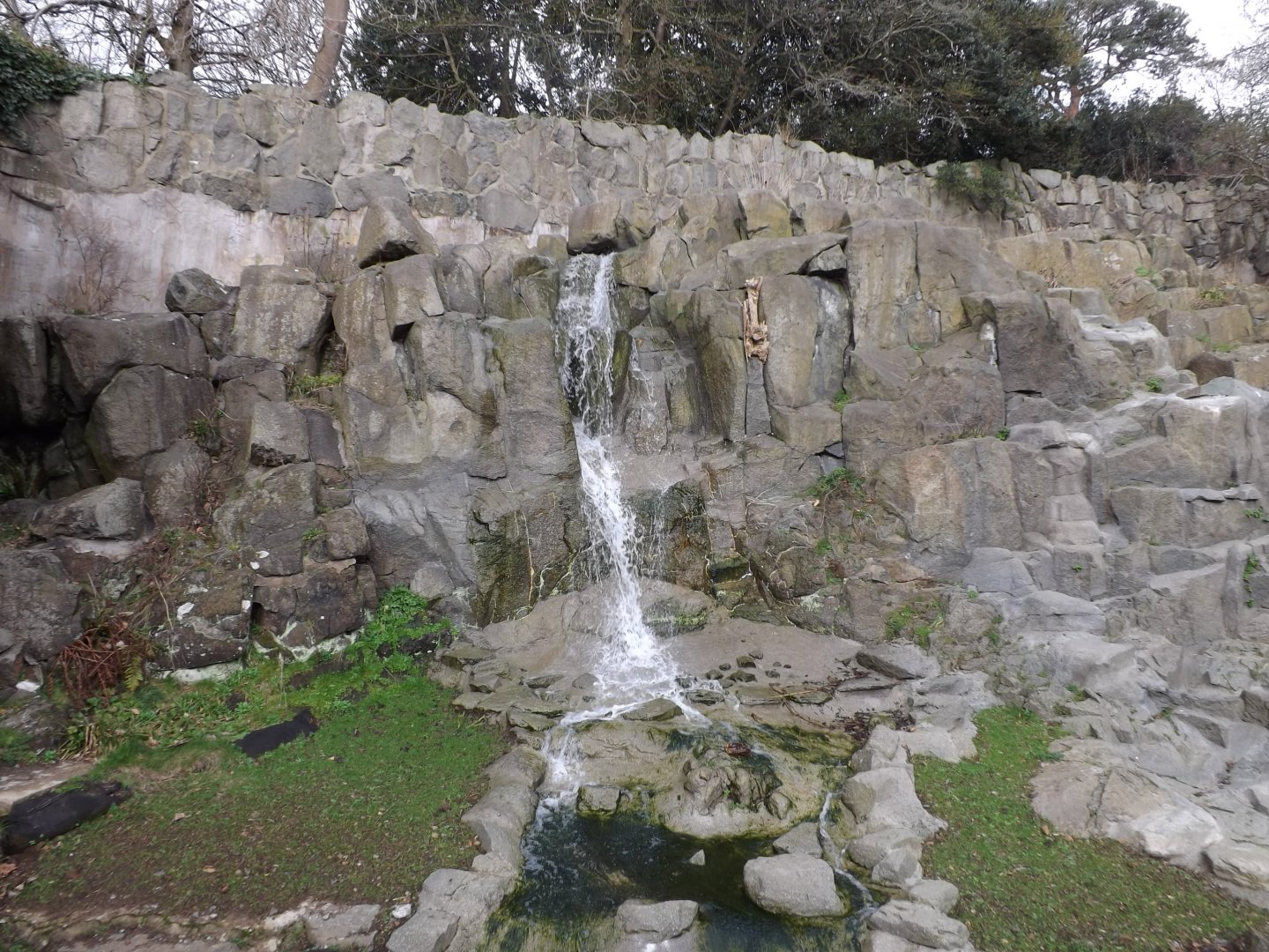 Waterfall in the centre of the zoo