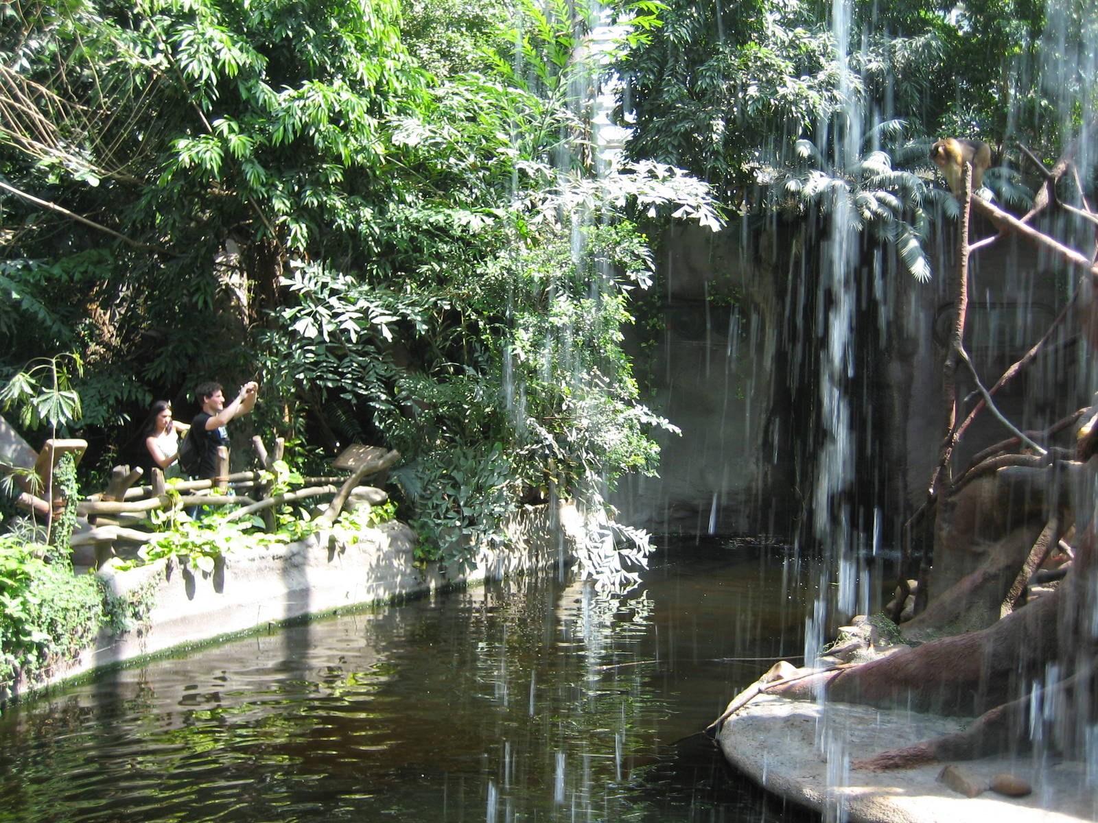 Waterfall in the Indonesia Jungle