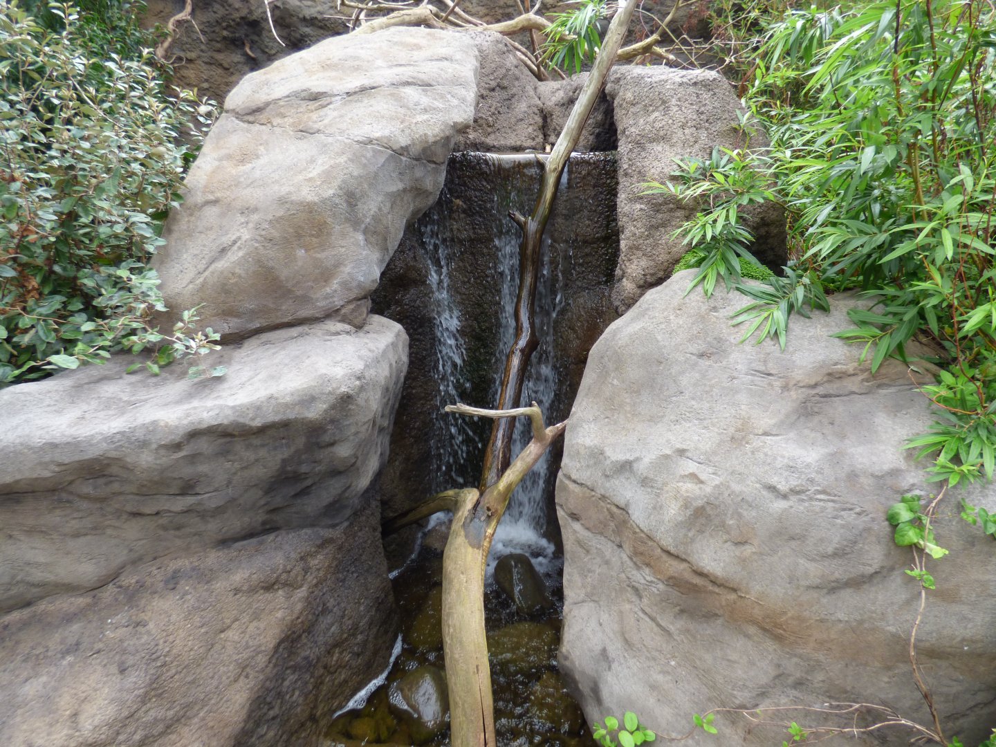 Waterfall in the new aviary