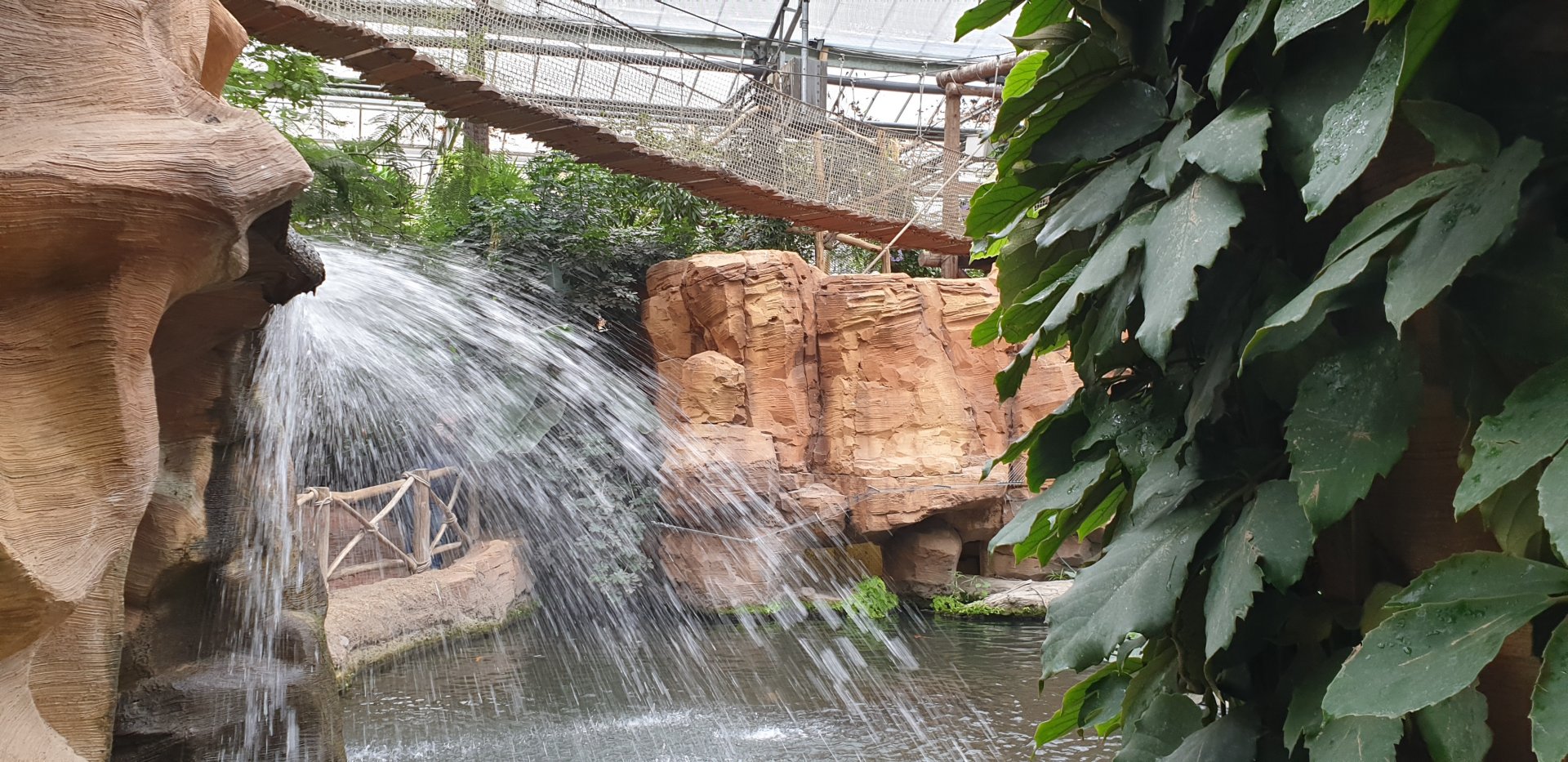 Waterfall in the Oasis