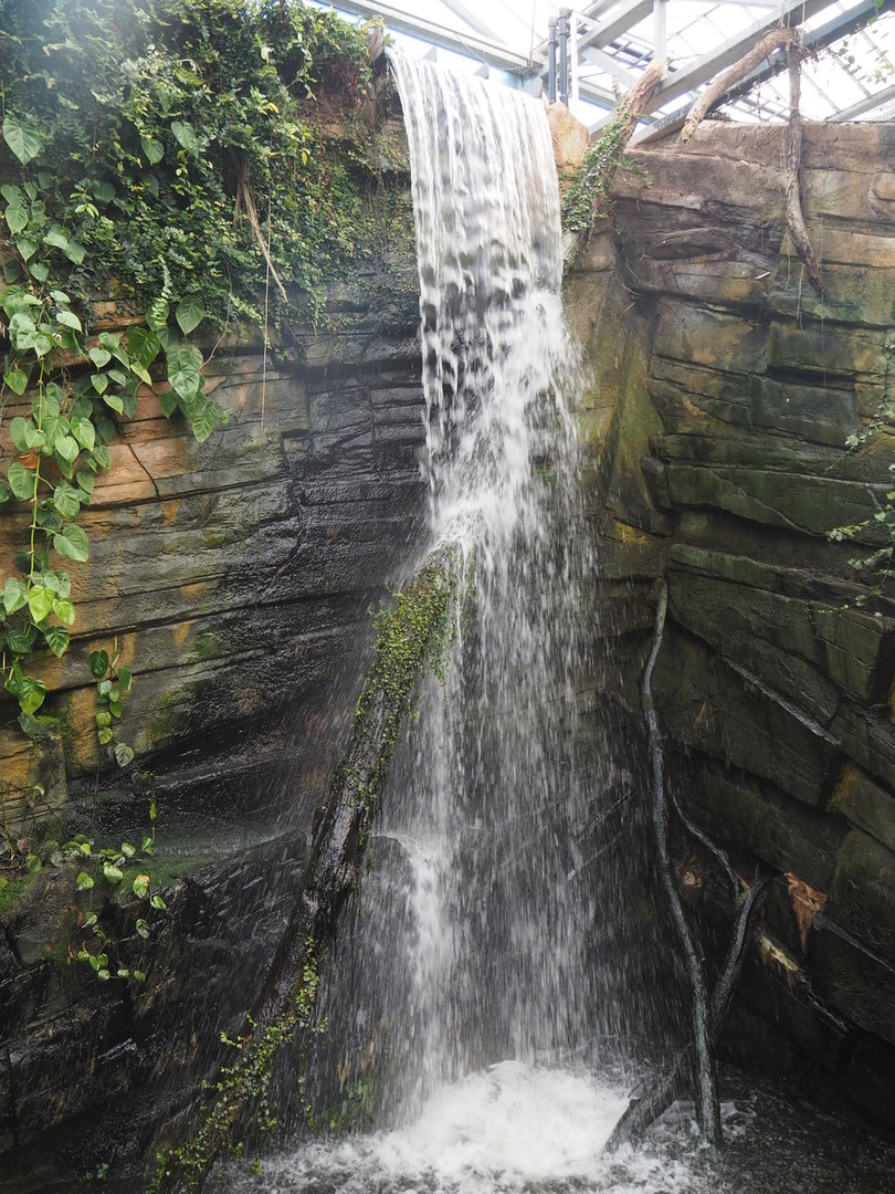 Waterfall in the orangutan greenhouse, 2022-08-07